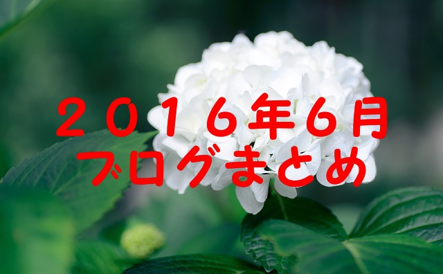 2016.6ブログまとめ by pixabay 2016.6ブログまとめ by pixabay