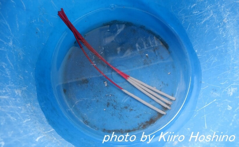 花火の処分、バケツの水