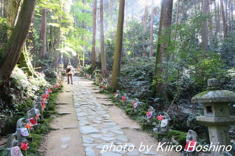 金剛輪寺、参道