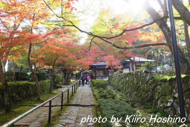 金剛輪寺、受付