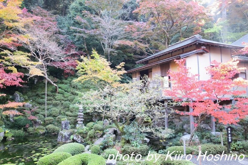 金剛輪寺、茶室