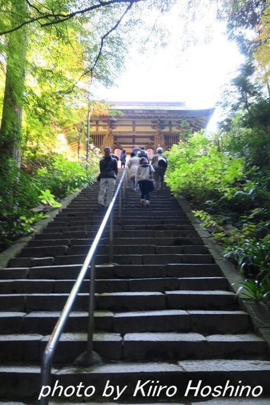 金剛輪寺、二天門前階段