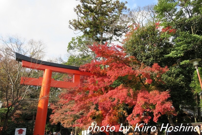 下鴨神社、西鳥居