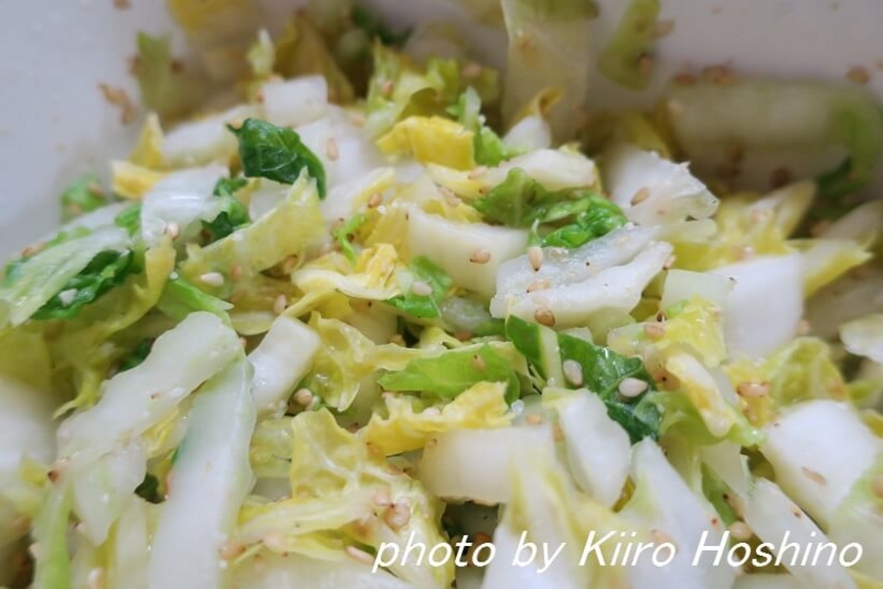 白菜のごま酢和え 白菜のごま酢和え