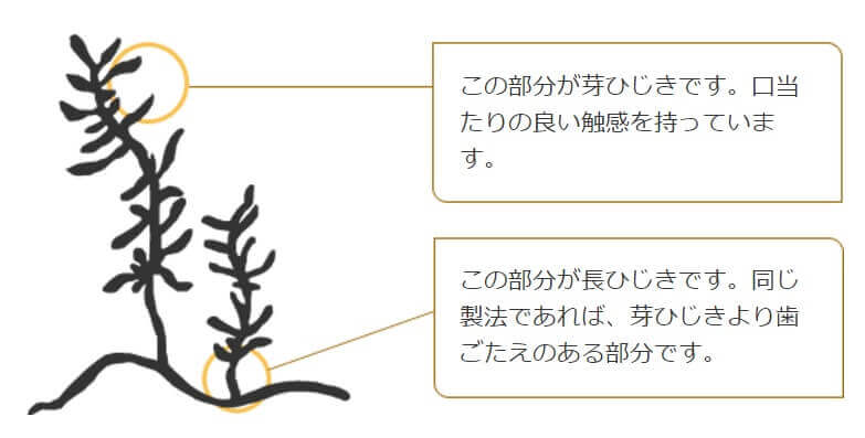 ひじき図 byくらこんサイト