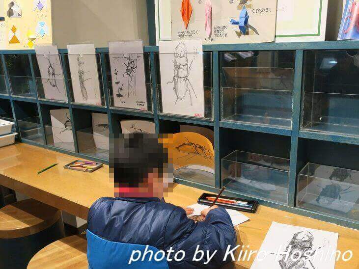 きしわだ自然資料館、塗り絵コーナー きしわだ自然資料館、塗り絵コーナー