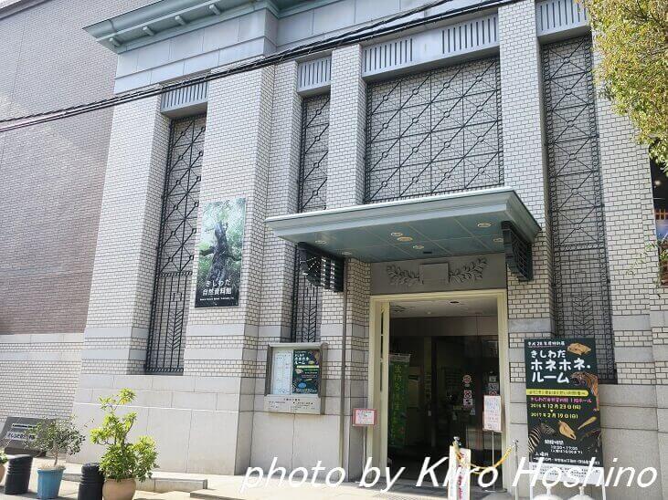 きしわだ自然資料館、入口 きしわだ自然資料館、入口