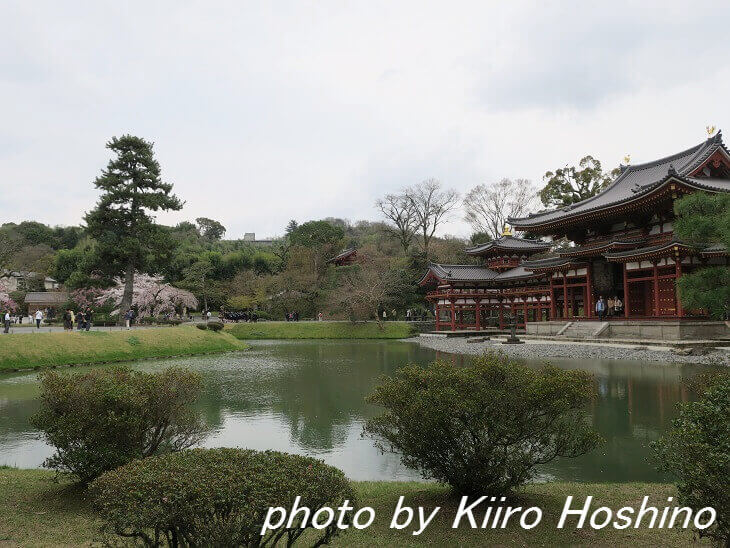 平等院・鳳凰堂と池