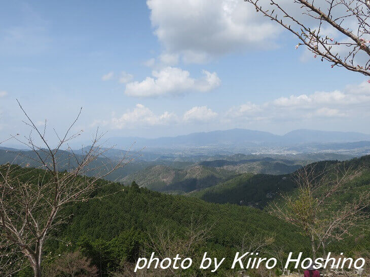 吉野桜、奥千本景色