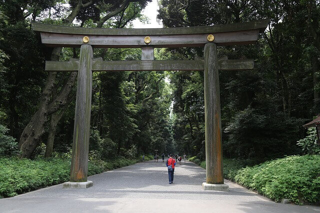 神社で開運、鳥居