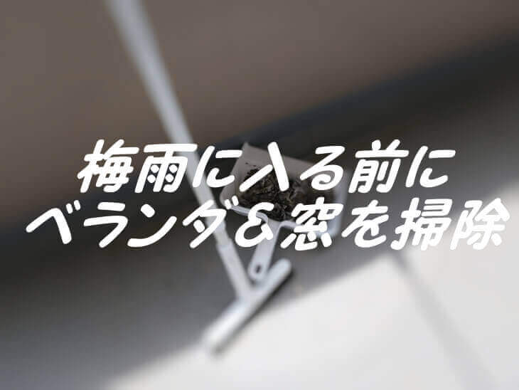 梅雨前の掃除、タイトル