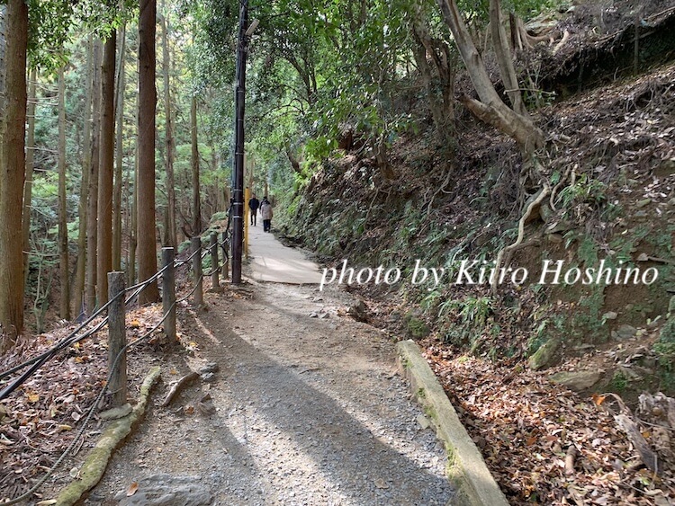 いわたやま山道