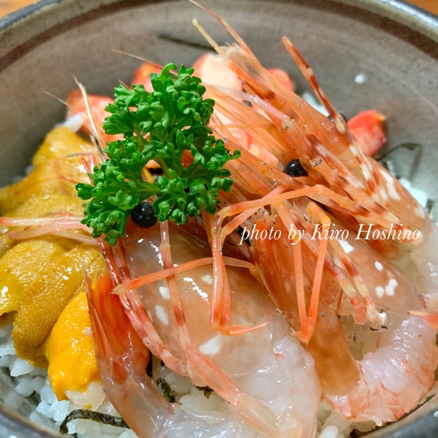 函館朝市海鮮丼