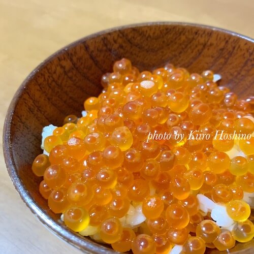 ふるさと納税いくら醤油漬け、イクラ丼